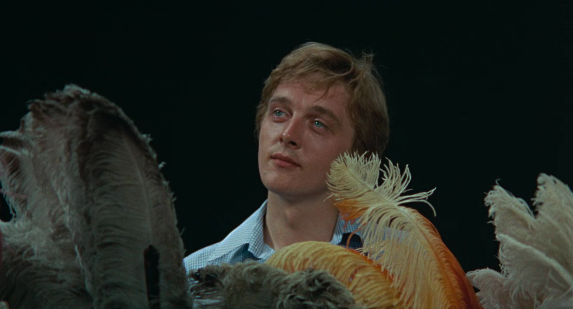 The image dissolves into ambiguity